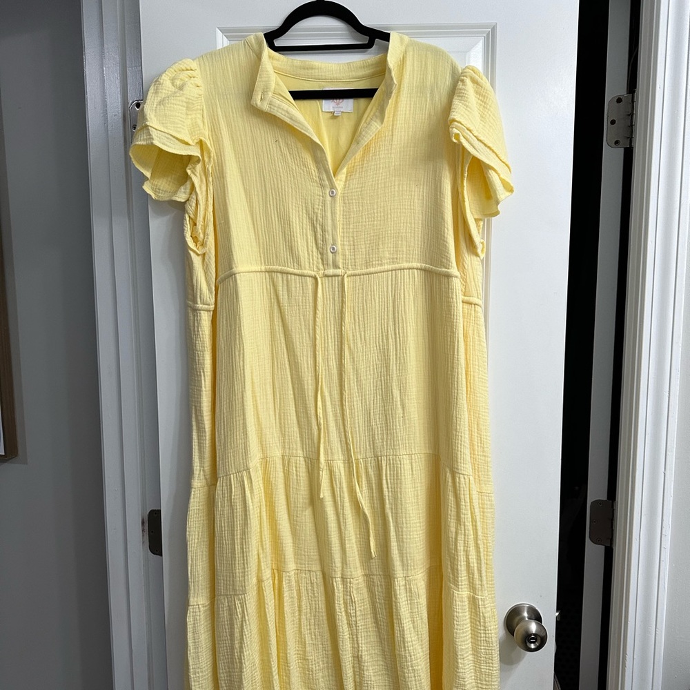3X Victoria Dunn Maxi dress